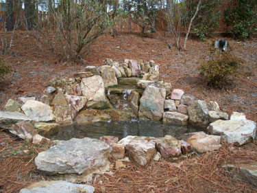 Stone Pond